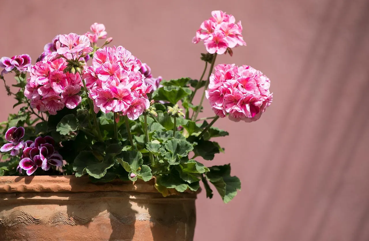 La Pensione Svizzera Taormina 3*,